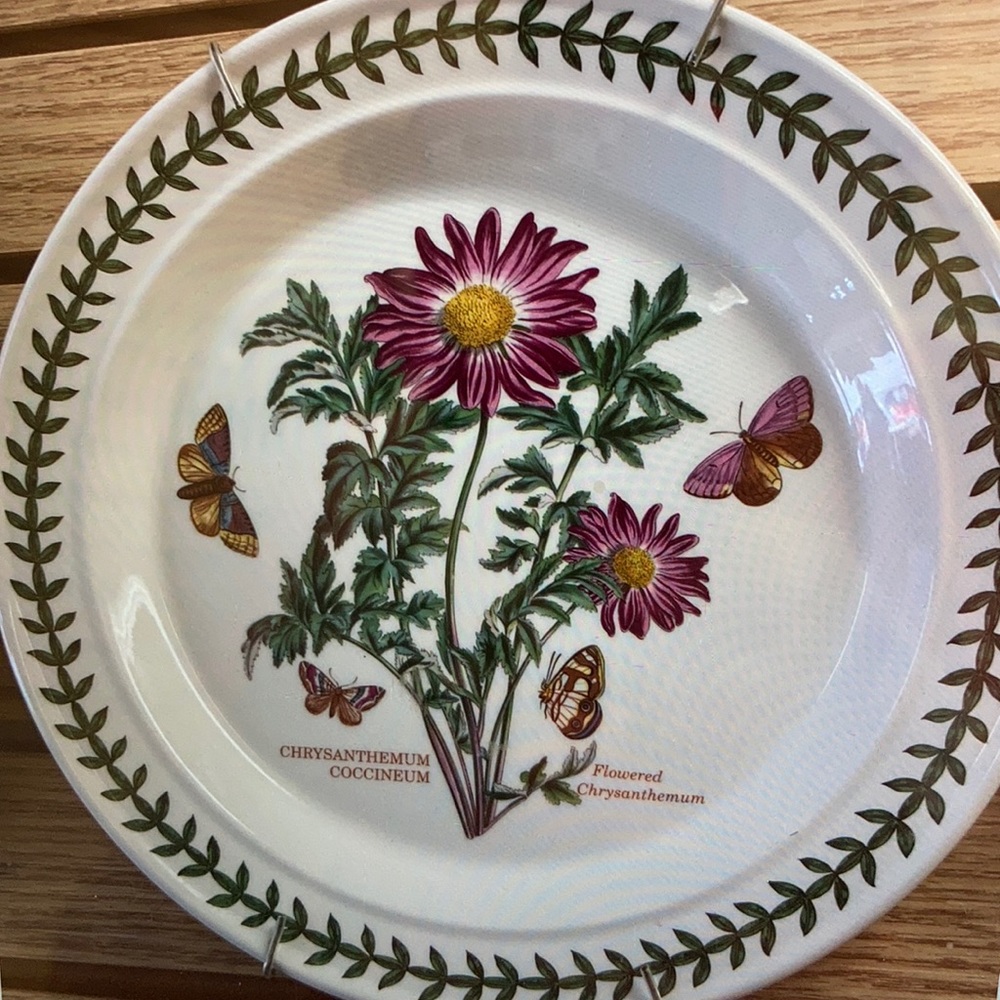 6 Portmeirion Botanic Garden 101/2” Assort Plates